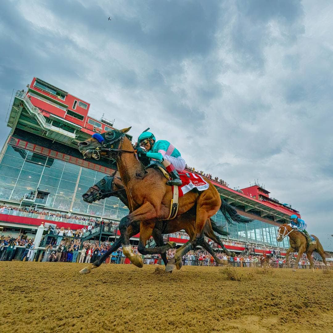 Preakness Stakes